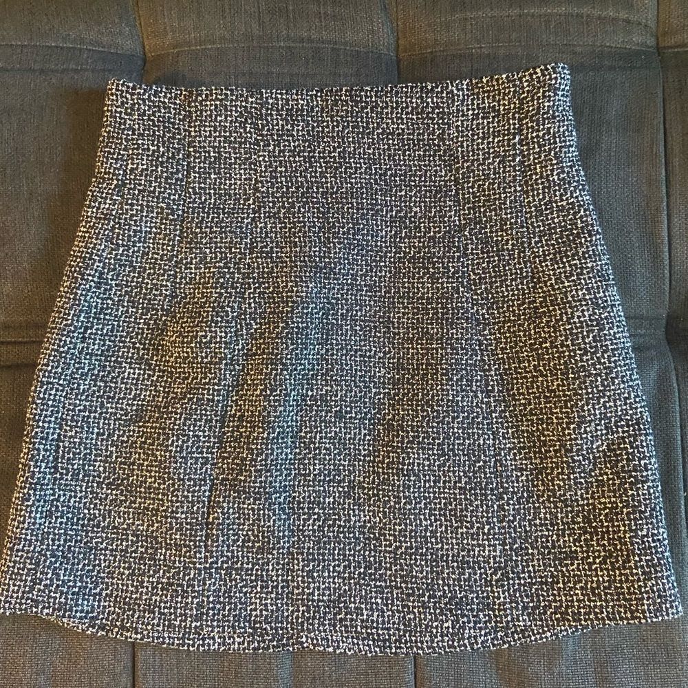 Zara Mini Skirt